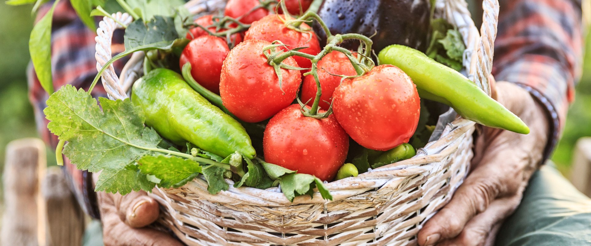 Supporting Local Farmers: The Role of Nonprofit Organizations in Farmingdale, NY