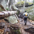 The Impact of Nonprofit Organizations on Environmental Conservation in Farmingdale, NY